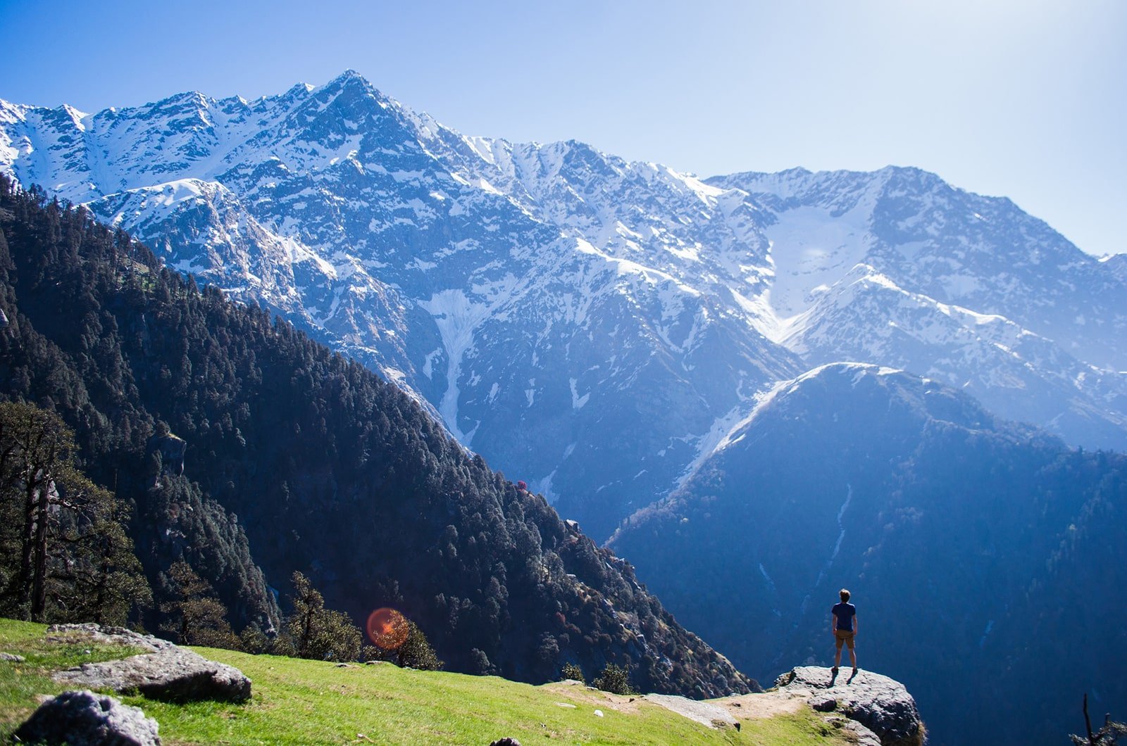 SAMPLE IMAGE — a calm yoga session during the Dharamshala retreat (replace with real photo)
